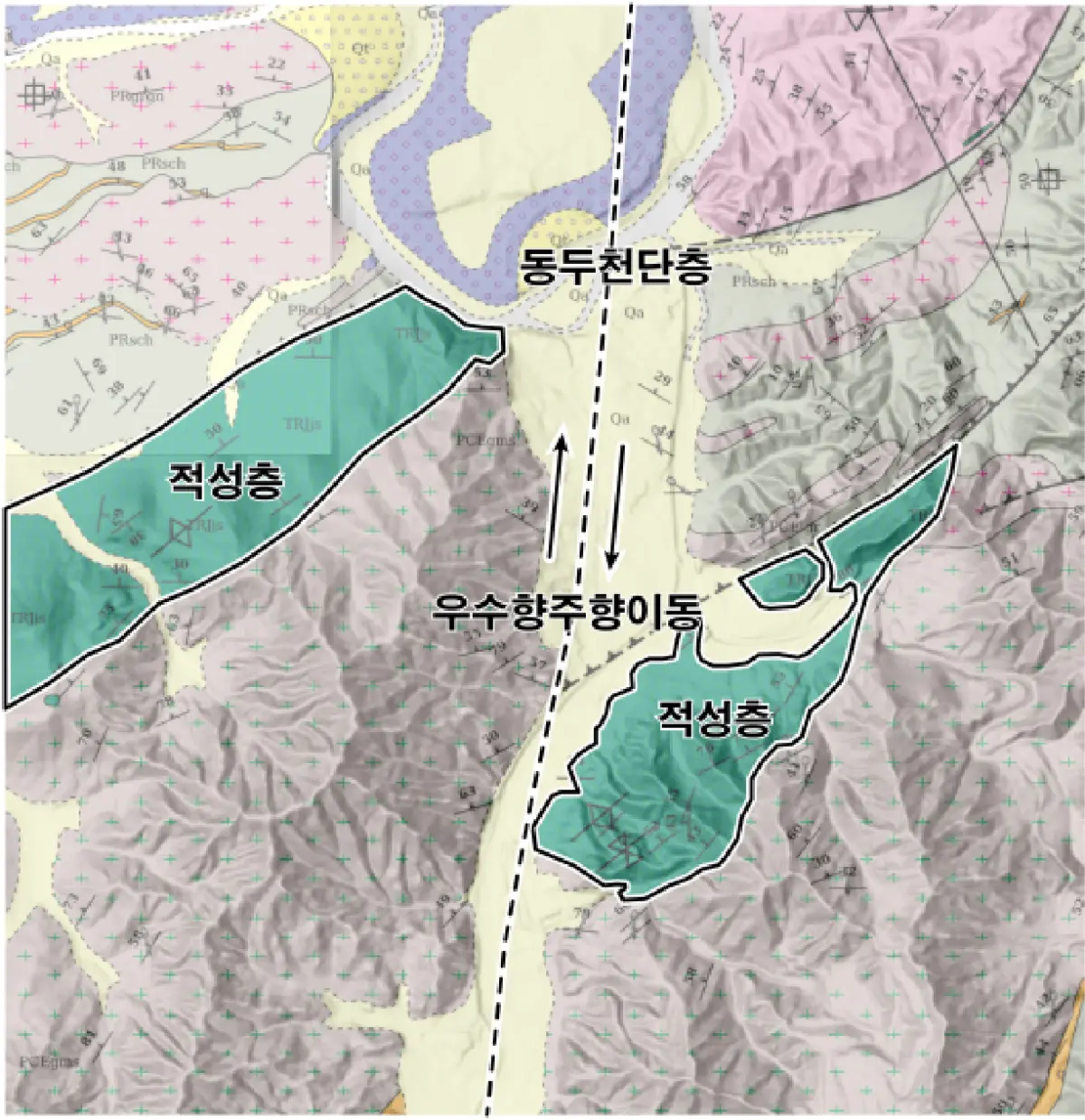 동두천단층