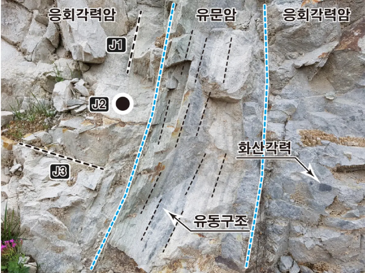 노두사진