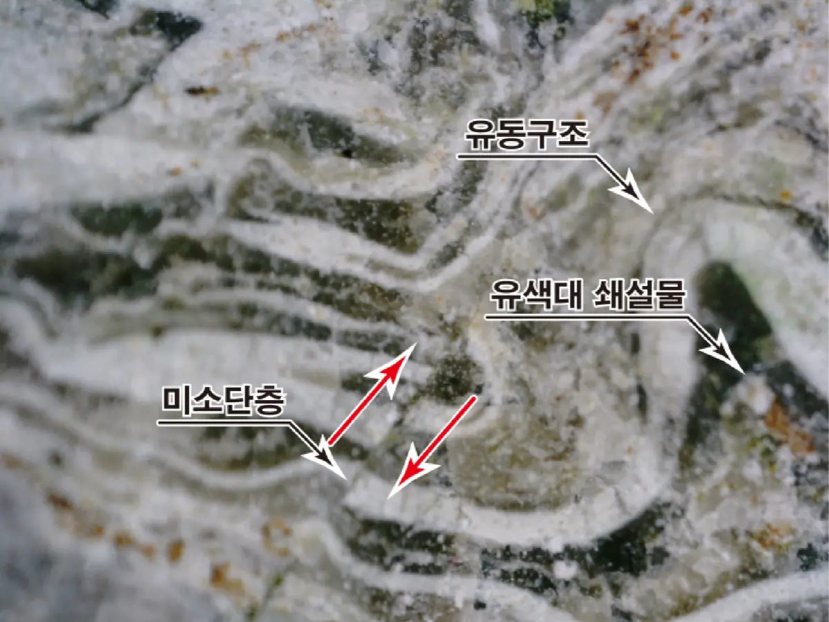 현미경사진