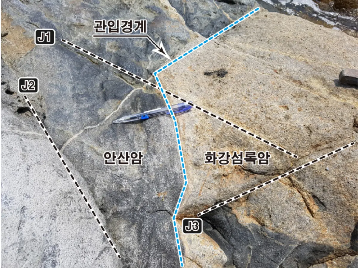 노두사진